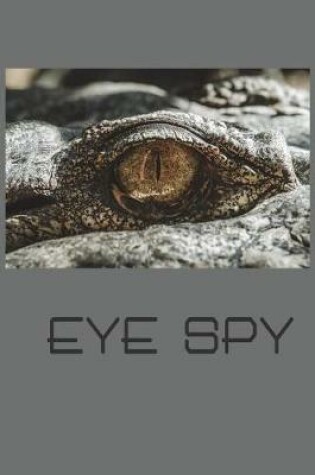 Cover of Eye Spy