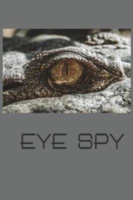 Book cover for Eye Spy