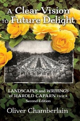 Cover of A Clear Vision to Future Delight