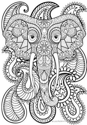 Book cover for Elephant - A Color Your Cover Journal