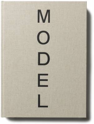 Book cover for Antony Gormley - Model