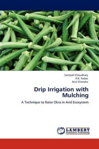 Cover of Drip Irrigation with Mulching