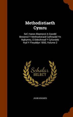 Book cover for Methodistiaeth Cymru