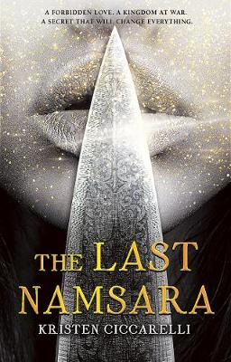 Book cover for The Last Namsara