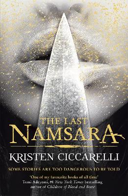 Book cover for The Last Namsara