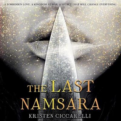 Book cover for The Last Namsara