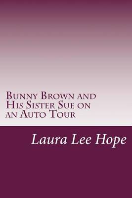 Book cover for Bunny Brown and His Sister Sue on an Auto Tour