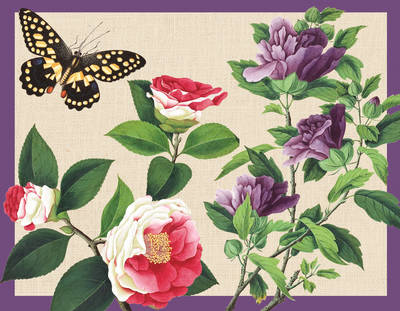 Book cover for Winterthur Butterflies Desk Set