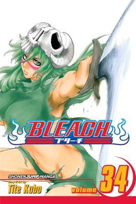 Book cover for Bleach, Vol. 34