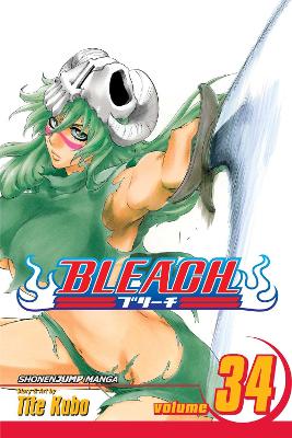 Cover of Bleach, Vol. 34