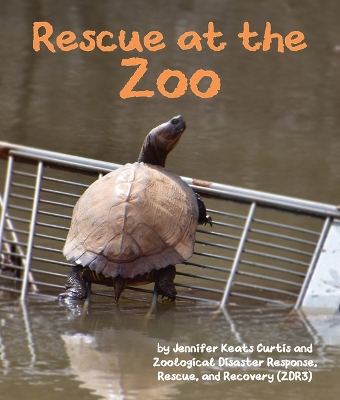 Book cover for Rescue at the Zoo