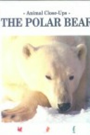 Cover of Polar Bear, Master of the Ice