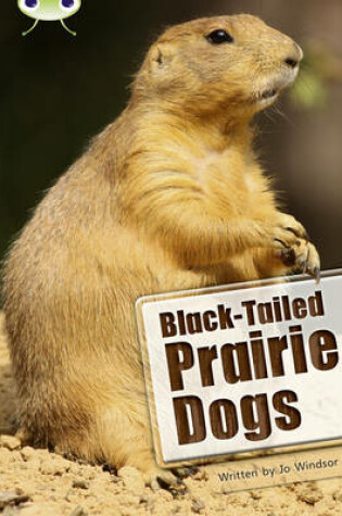 Cover of Bug Club Independent Non Fiction Year Two White B Black-tailed Prairie Dogs