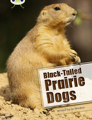 Cover of Bug Club Independent Non Fiction Year Two White B Black-tailed Prairie Dogs