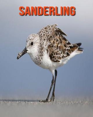 Book cover for Sanderling