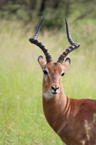 Cover of African Horned Antelope on the Savannah Journal