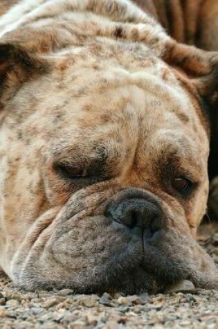 Cover of Sleepy Freckle-Face Bulldog Journal