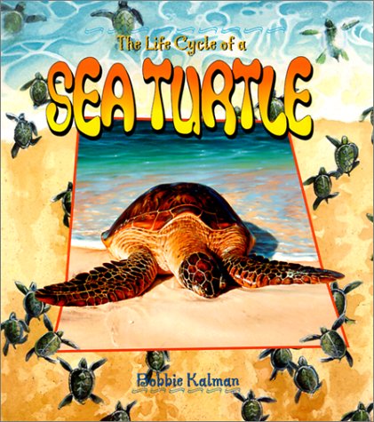 Book cover for The Life Cycle of the Sea Turtle