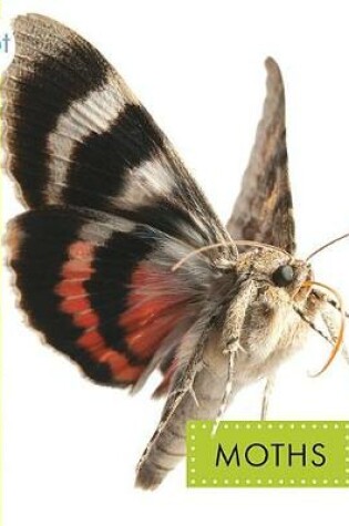 Cover of Moths