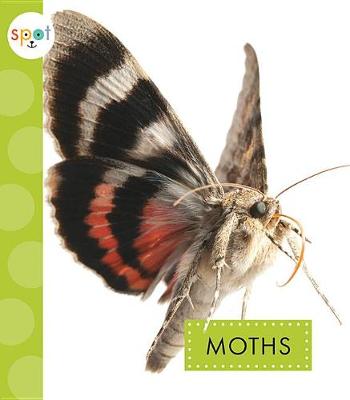 Cover of Moths