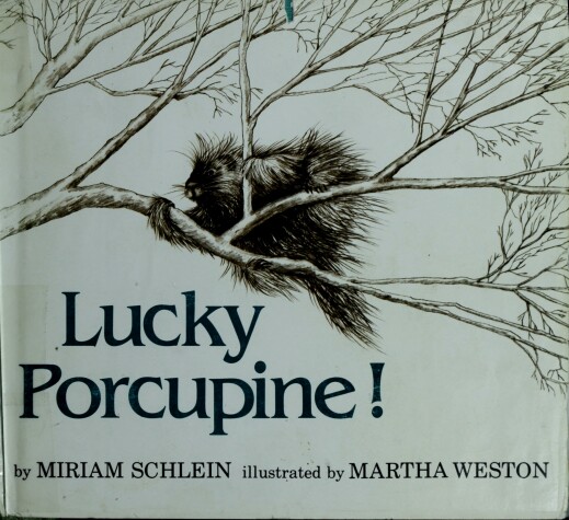 Book cover for Lucky Porcupine!