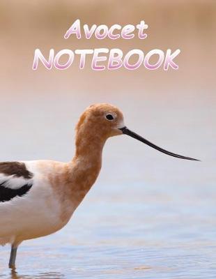 Book cover for Avocet NOTEBOOK