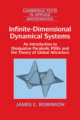 Book cover for Infinite-Dimensional Dynamical Systems