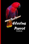 Book cover for Electus-Parrot Notebook