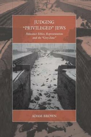 Cover of Judging 'Privileged' Jews