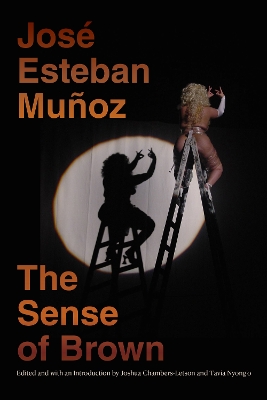 Cover of The Sense of Brown