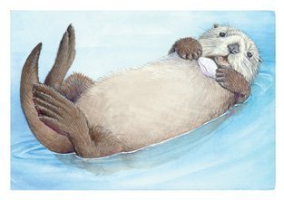 Book cover for Sea Otter Notepad