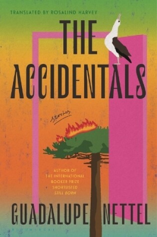 Cover of The Accidentals