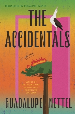 Book cover for The Accidentals