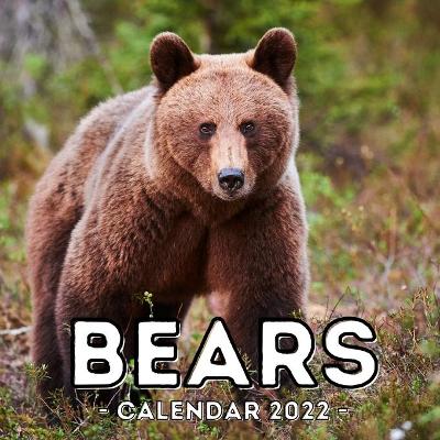 Book cover for Bears Calendar 2022