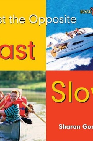Cover of Fast, Slow