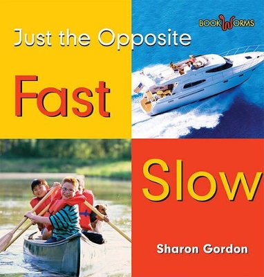 Book cover for Fast, Slow