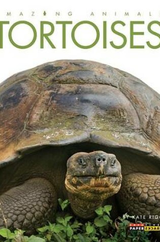 Cover of Amazing Animals: Tortoises