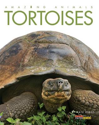 Cover of Amazing Animals: Tortoises