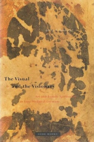 Cover of The Visual and the Visionary