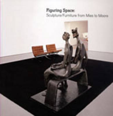 Book cover for Figuring Space