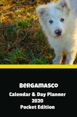 Cover of Bergamasco Calendar & Day Planner 2020 Pocket Edition