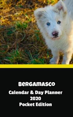 Book cover for Bergamasco Calendar & Day Planner 2020 Pocket Edition