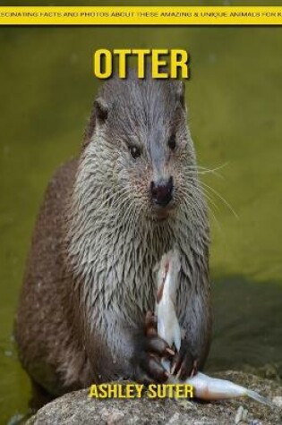 Cover of Otter