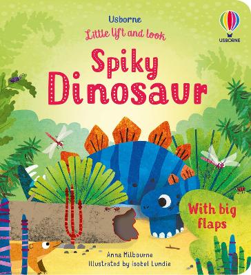 Book cover for Little Lift and Look Spiky Dinosaur