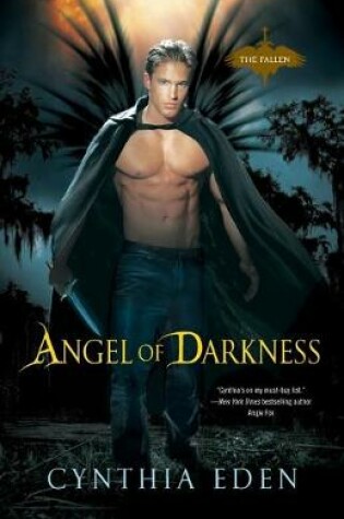 Cover of Angel Of Darkness