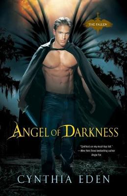 Book cover for Angel Of Darkness