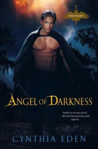 Cover of Angel of Darkness