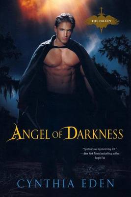 Book cover for Angel of Darkness