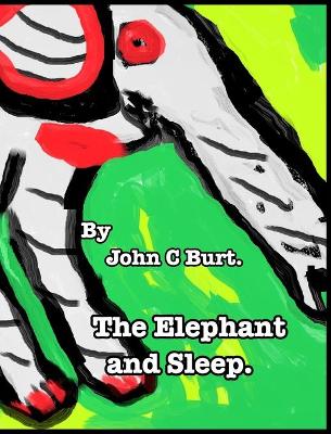 Book cover for The Elephant and Sleep.