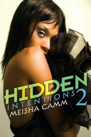 Cover of Hidden Intentions 2